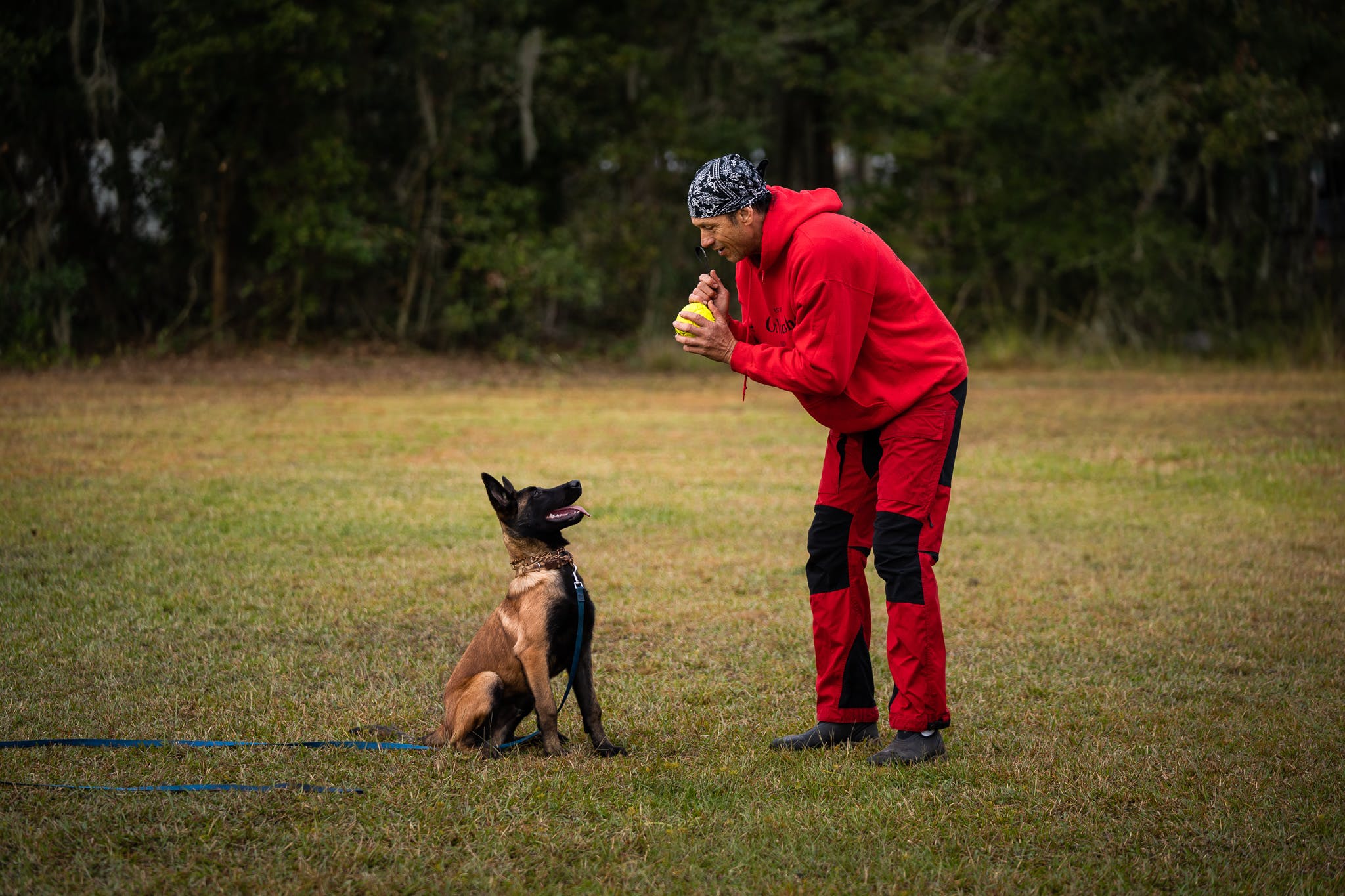 How I Teach The Perfect Recall