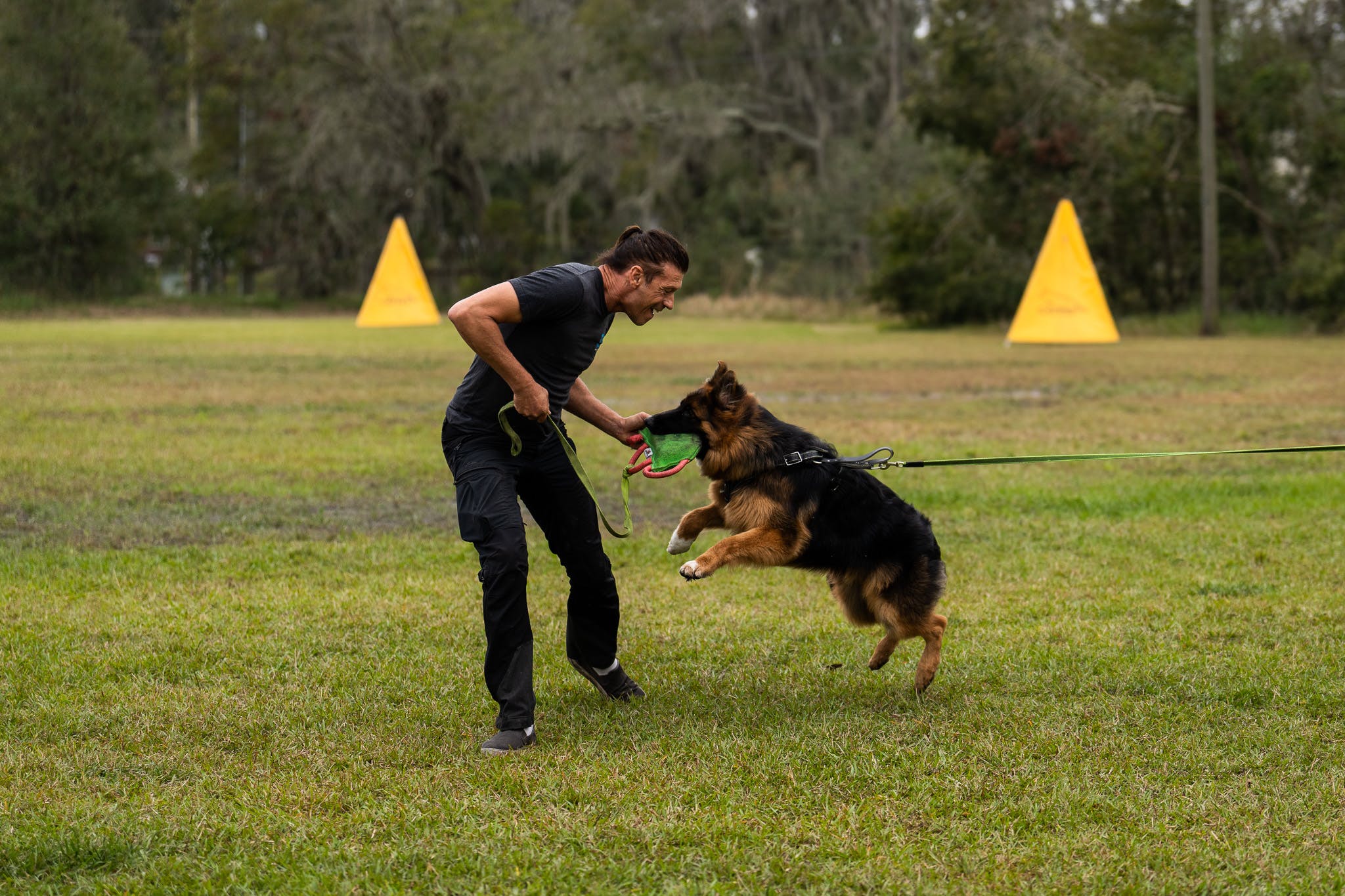 This Will Save Dog's Lives