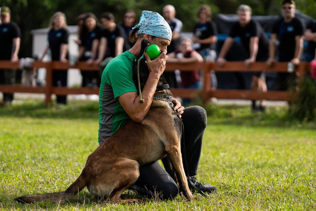 Do You Train Dogs Like Everyone Else?